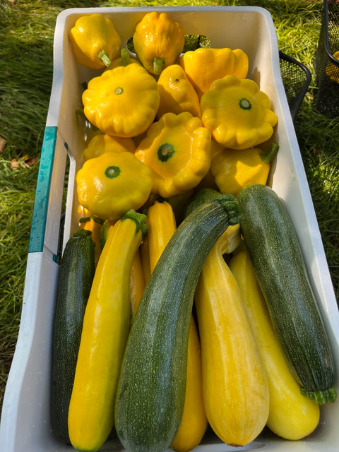 2025 Fresh Veggie Basket