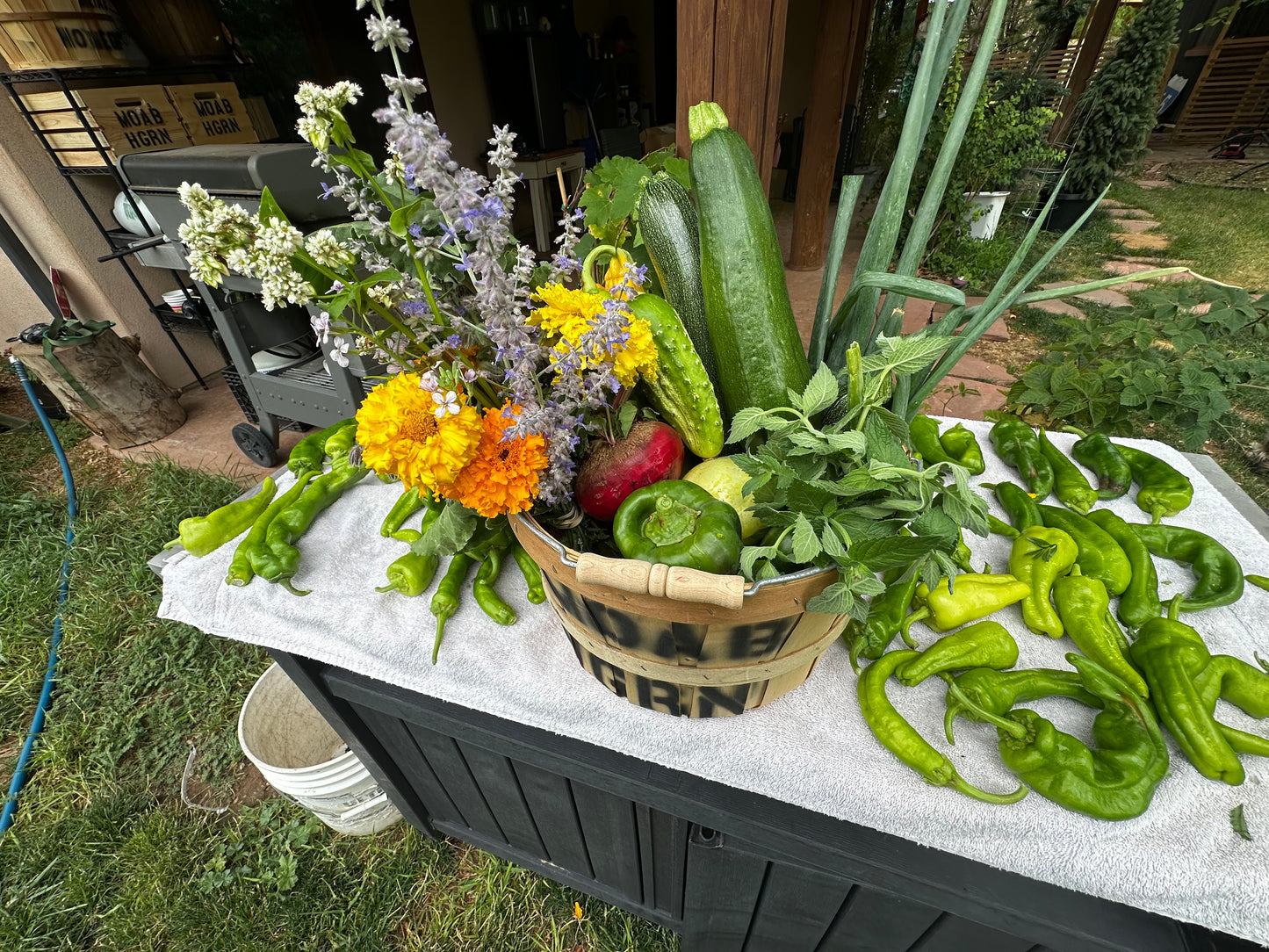 Veggie Basket (In-season)