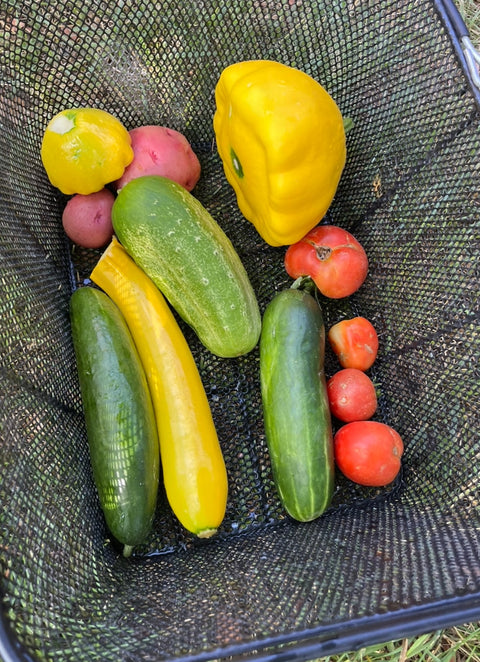 2025 Fresh Veggie Basket