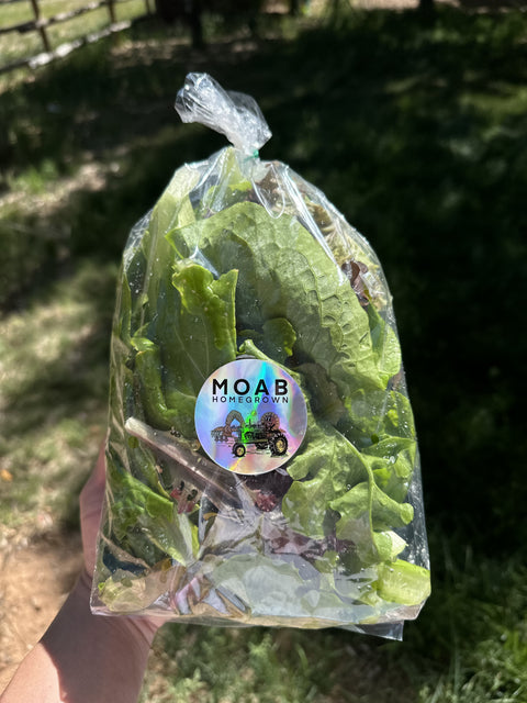 2026 Fresh Veggie Basket