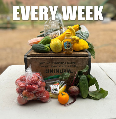 2026 Fresh Veggie CSA Basket (Weekly - Full Season 16 Weeks)